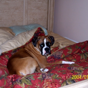 He's taking over the bed, too!