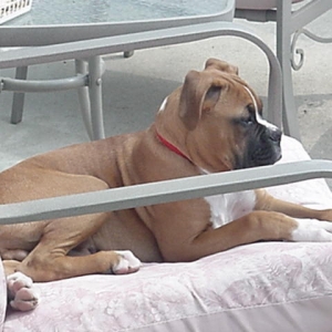 Getting big-  16 weeks!