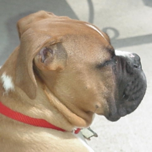 Payton profile