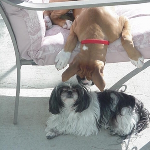 There you are Mitzi!