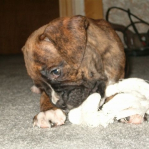 Cassius 1st day home 7 weeks