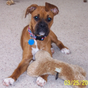 Heidi's 5 months old!