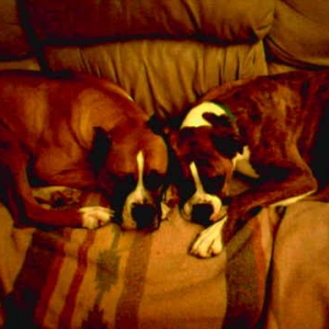 Trying to sleep here