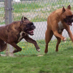 Com_on_LETS_GO_GID_EM