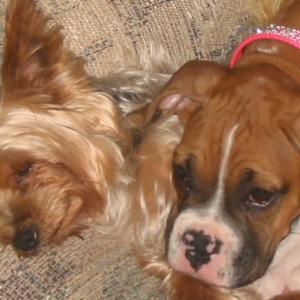 Mattie and Toby