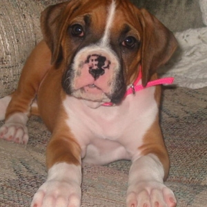 Baby Mattie