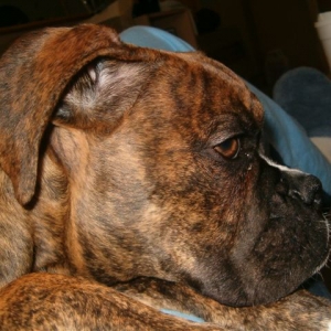 Cassius' profile