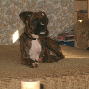 Cassius posing 4 months