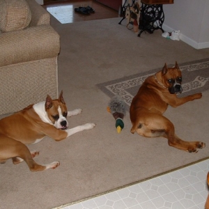Brutus and Gage