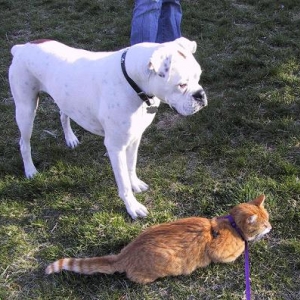 Charlie Paper & Rudy