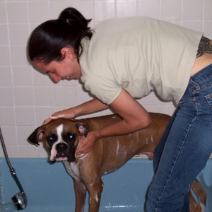 Daughter Robin gives first bath!
