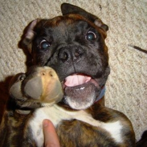tickle me Mimi