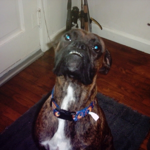 MR T