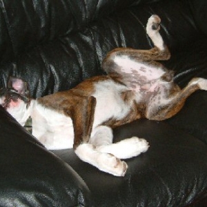 sprawling