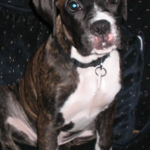 kit_13_weeks