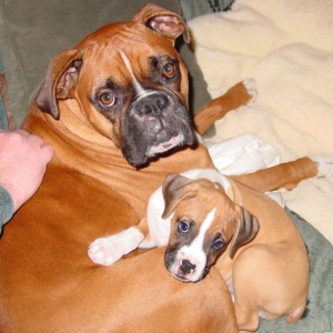 Murray&Larry