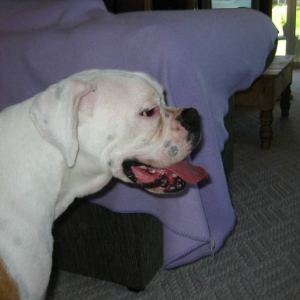 I'm so tired!