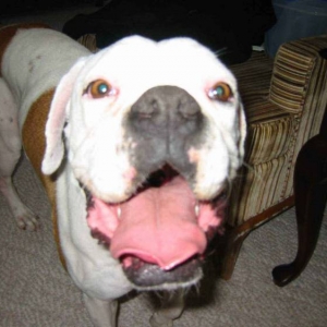 Big Smile