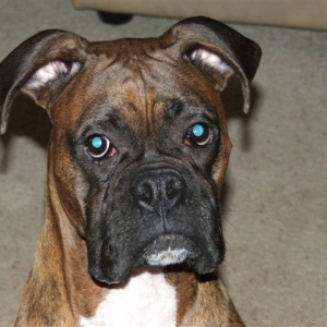 What a handsome boy I am!