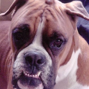a face only a dad could love!