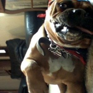 Pups!! shesh .