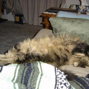 Stretch!!