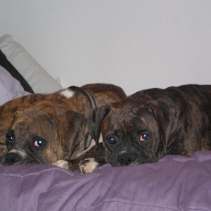 we can't live without each other!!!