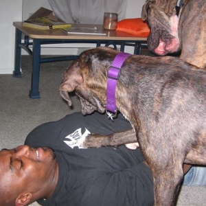 lets get him while he's down