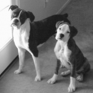 Posing for the camera