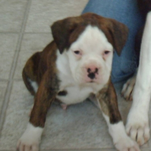 Such a cute little boy