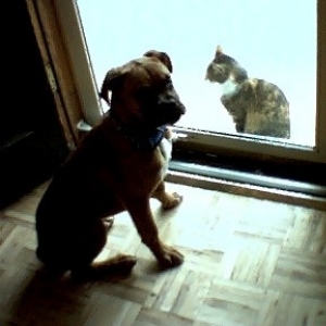 aw mom please!! i just want to play.