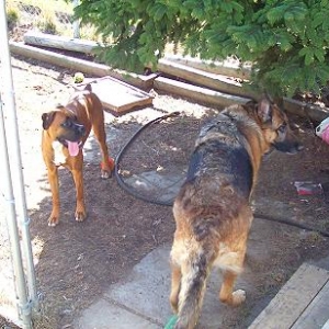 Cinny and Brandy