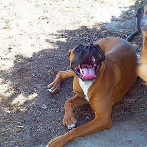Smile!