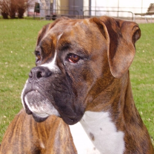 My darling 9 months of age