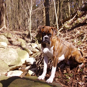 A lovely day in april..