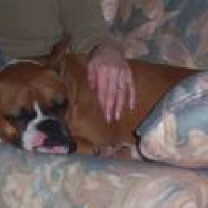 Ruby