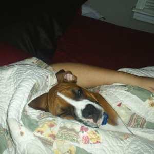 All tucked in for bed