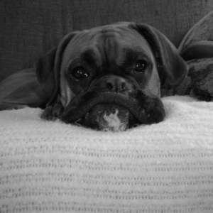 smooshface