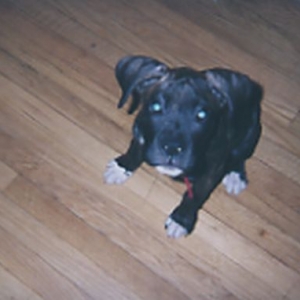 What are you doing up there?