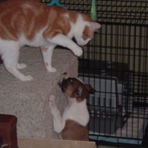 C'mon, I dare ya!