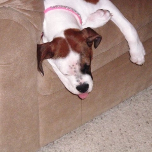 Play hard, Sleep hard