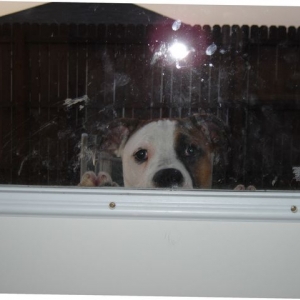 Hey!  I know you're in there!