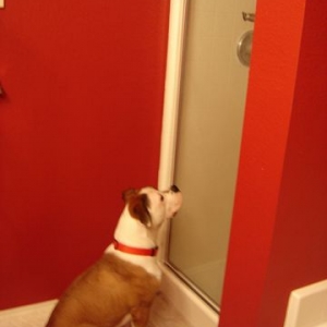 Soo...whatcha doin'?