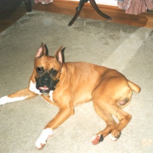 Kito