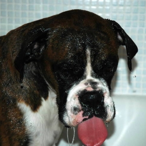 very wet Henri