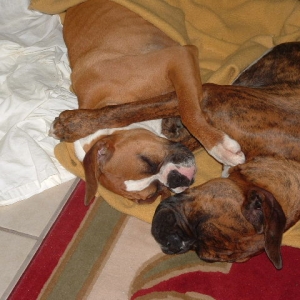 Cuddle Time