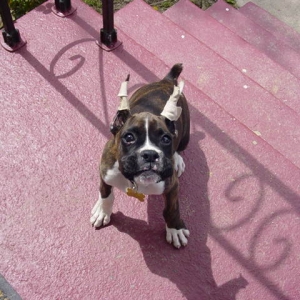 Let me in!!