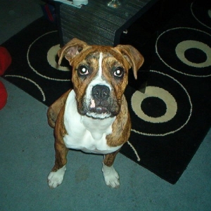 my baby!!