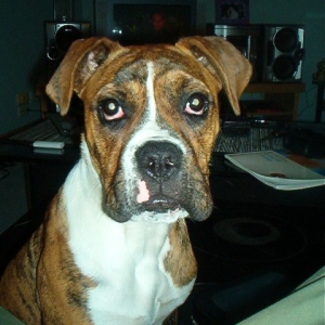 deisel at 6 months