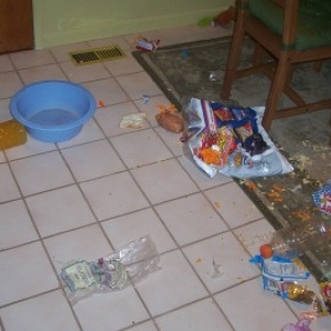 Kitchen Carnage!!